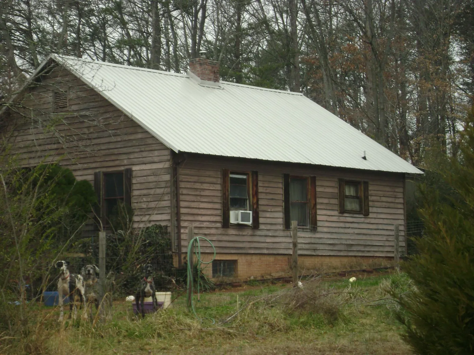 White metal roof on an old wood sided farmhouse, from a Asphalt Shingle Roof Repair job in Rainier